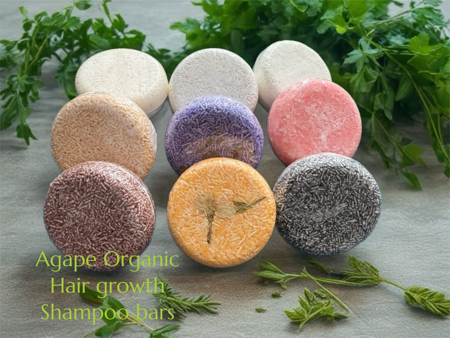 Organic Hair Vitality Shampoo bars