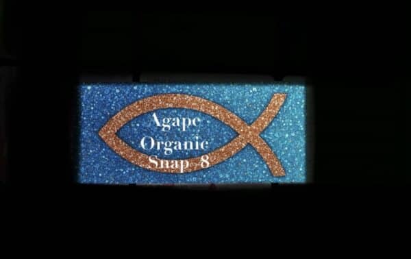 SNAP8 20mg